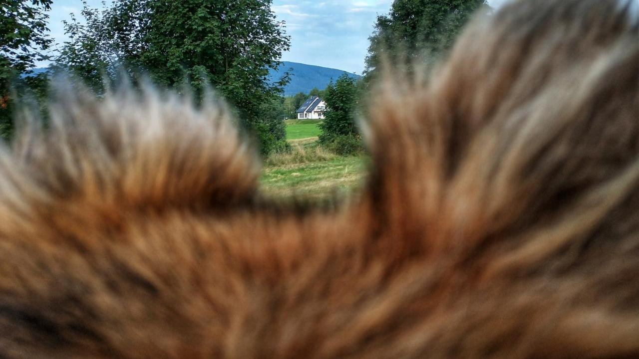 Rezydencja Ostoja Stronie Śląskie Esterno foto