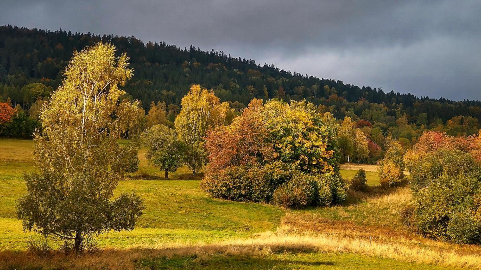 Rezydencja Ostoja Stronie Śląskie Esterno foto
