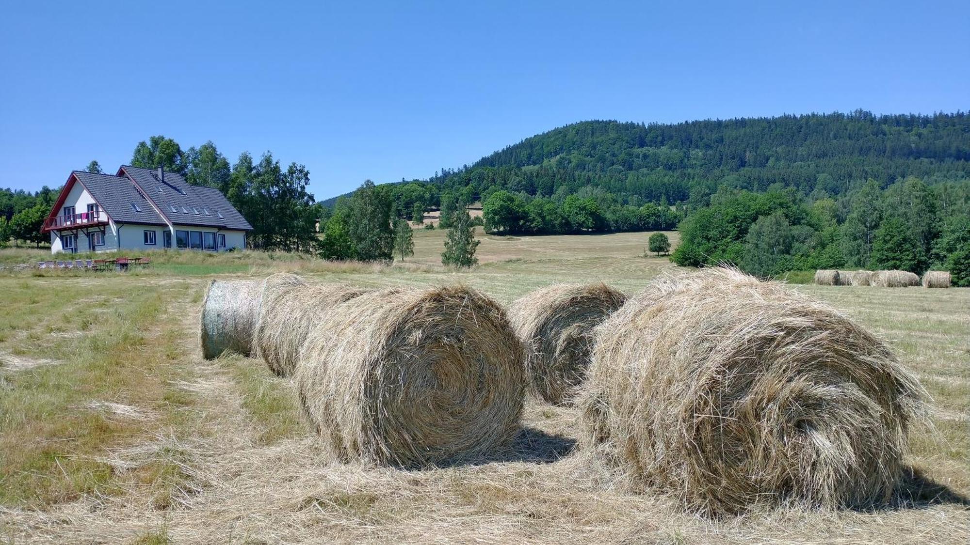 Rezydencja Ostoja Stronie Śląskie Esterno foto