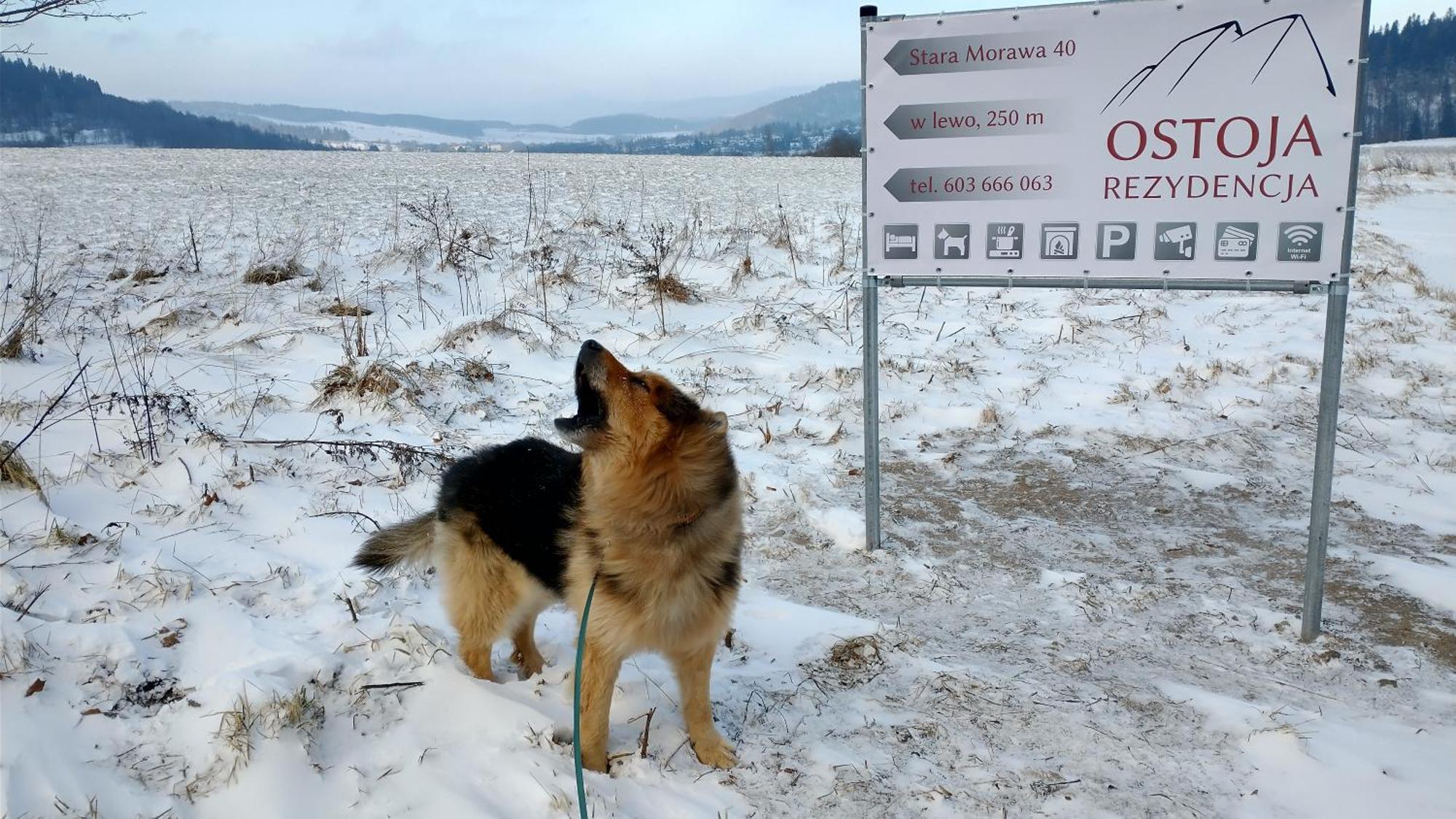 Rezydencja Ostoja Stronie Śląskie Esterno foto